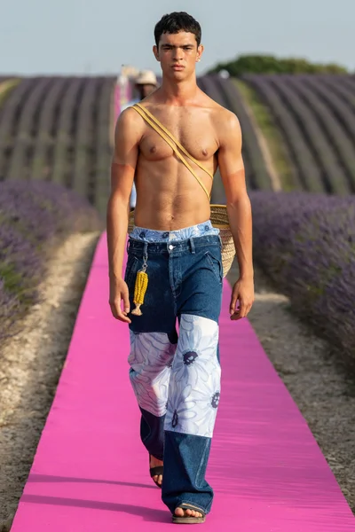 Look 31